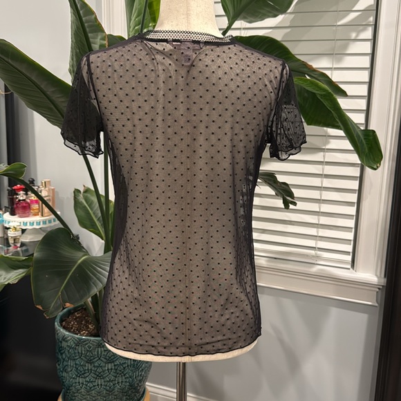 Sheer polka dot T-shirt - Picture 2 of 3